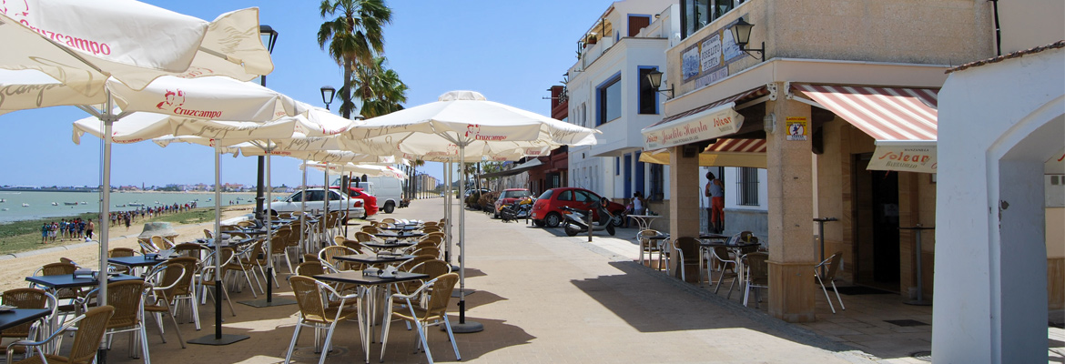 Terraza Lateral